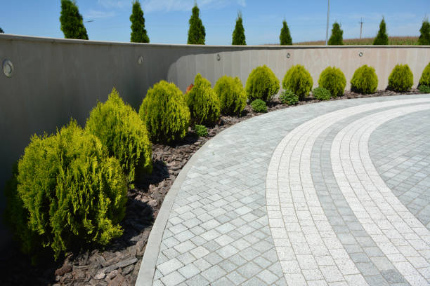 Best Affordable Driveway Paving  in Shelbyville, IN